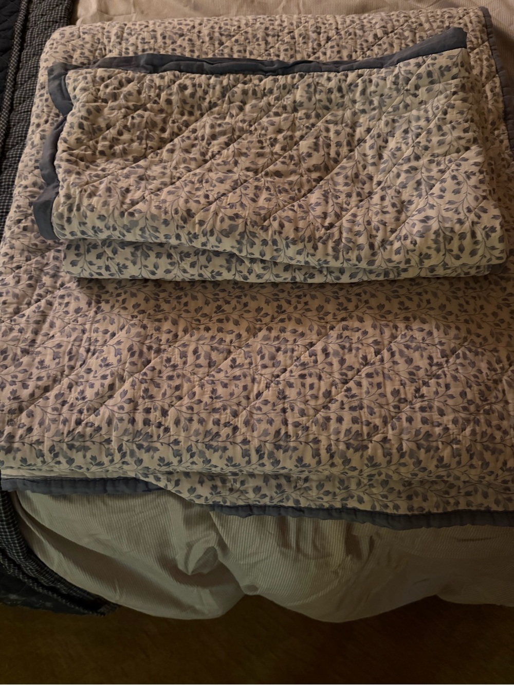 King Quilt and 2 Shams